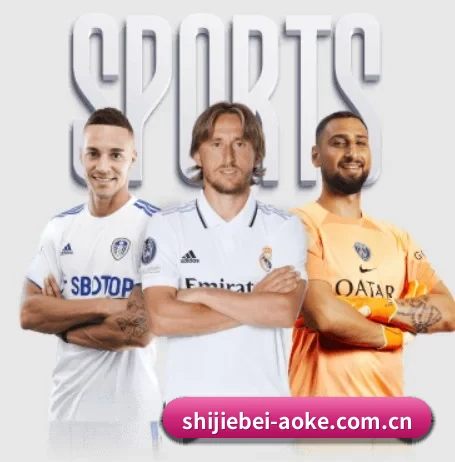 shijiebei-aoke.com.cn APP 界面（aoko）